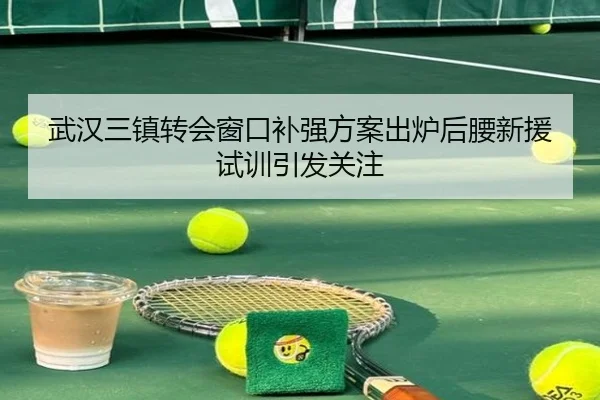 武汉三镇转会窗口补强方案出炉后腰新援试训引发关注